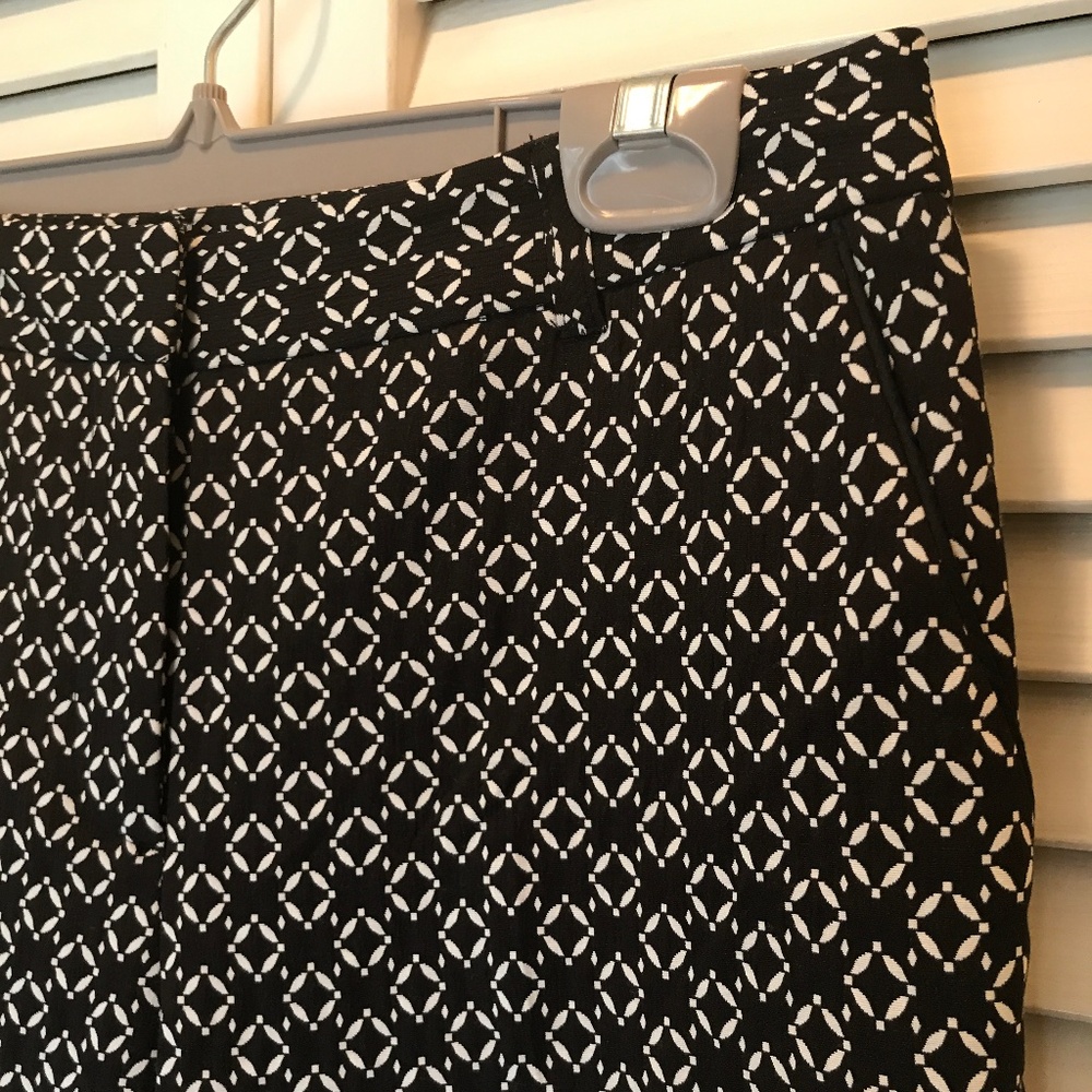 Travel Ankle Pants- Wrinkle Resistant! EUC 2/$25